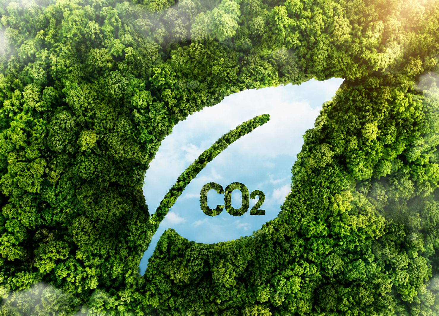 Carbon Footprint Management